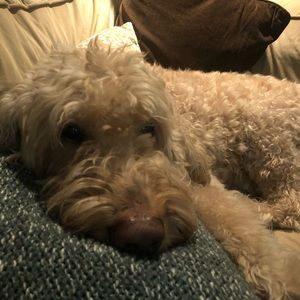 Meet your Posher, Kathie